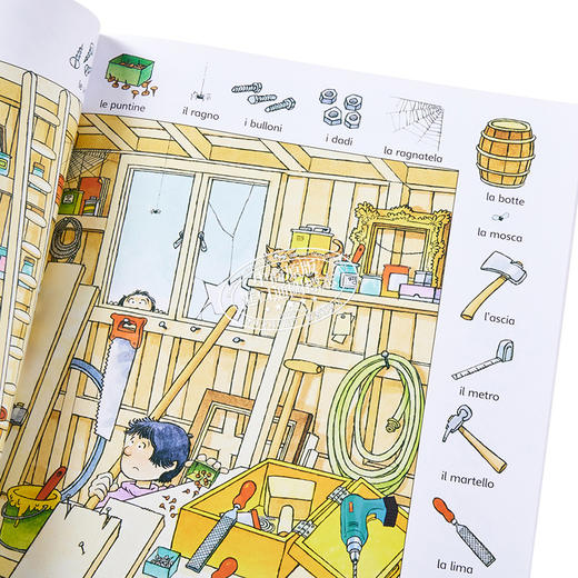 【中商原版】看图识1000意大利语单词 意大利文原版 英文意大利文双语 小语种 First Thousand Words in Italian 商品图3