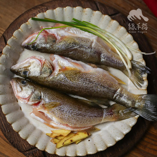 生态河鲈鱼 | 合作生产 * Eco-weever | Coproduction 商品图4