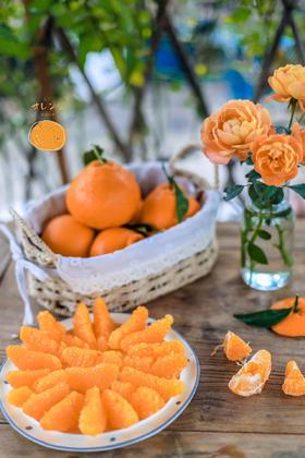 上新特价！原生态板果粒橙！【春见耙耙柑】自然成熟糖度15+起，一口下去满嘴biu汁，超爽超过瘾！