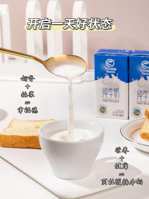 一杯好奶 芙拉薇赫纯牛奶 商品图5