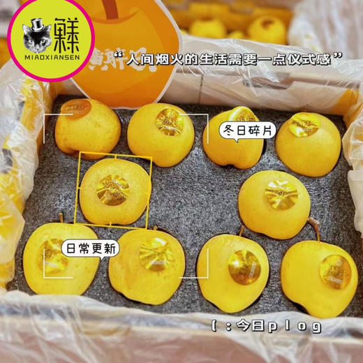 黄金维纳斯～金斑黄胖子（礼盒8-10枚）入 商品图0