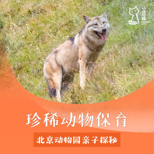 「 04月25日 周六下午」 珍稀的本土动物·北京动物园珍兽亲子探秘 商品图0