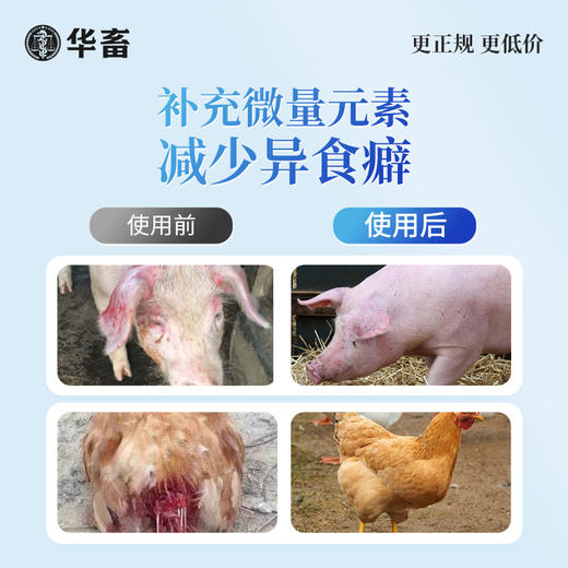 华畜钙磷铁镁锰硒宝10kg 促进骨骼生长改善蛋质 一桶补齐孕畜可用 商品图5