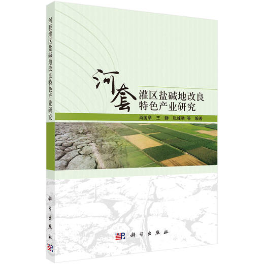 河套灌区盐碱地改良特色产业研究/肖国举等 商品图0
