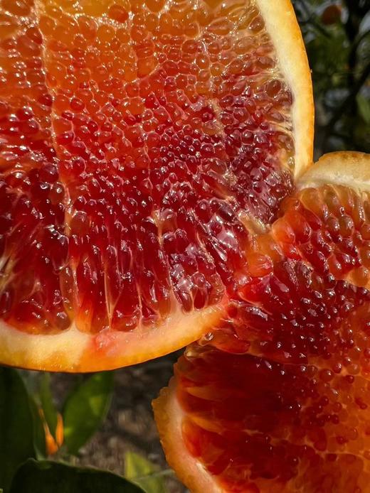 可食用的“红宝石”！李子妃【长寿湖血橙】九分甜一分酸！混合花香、果香、蜂蜜香！富含花青素~ 商品图2