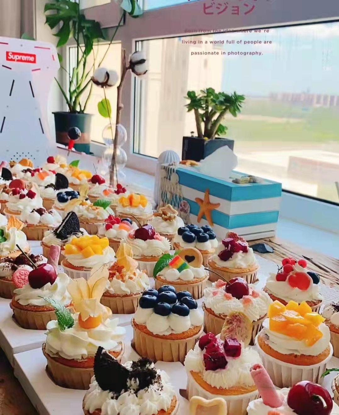 黑巢-纸杯水果蛋糕生日蛋糕