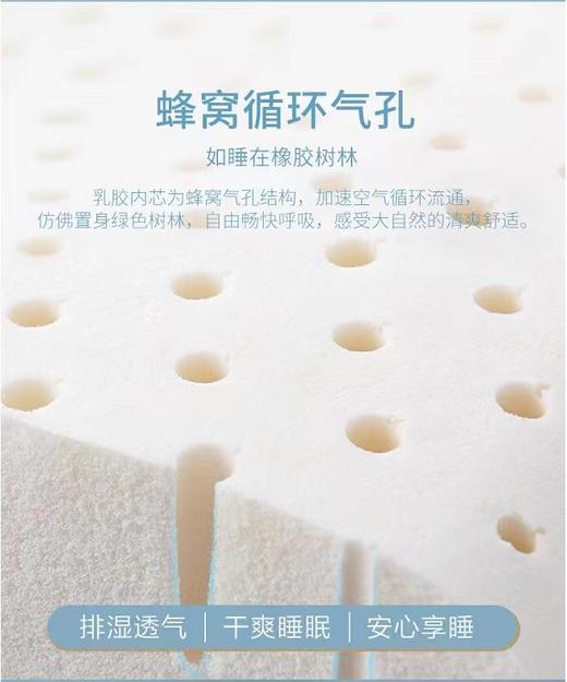 【6F】富安娜 泰国进口抗菌乳胶枕 商品图9