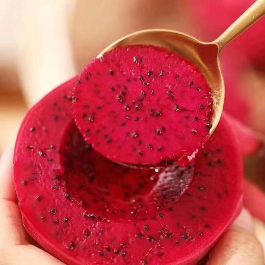 海南火龙果 生态种植 新鲜采 自然熟 无保鲜剂 香甜 个大 饱满 |百里食 商品图6