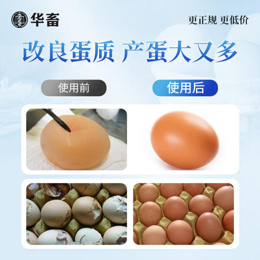 华畜钙磷铁镁锰硒宝10kg 促进骨骼生长改善蛋质 一桶补齐孕畜可用 商品图3