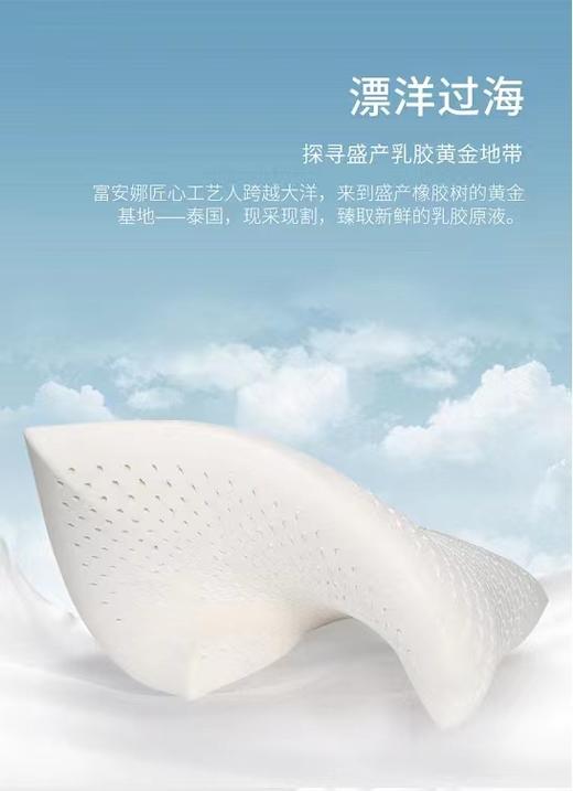 【6F】富安娜 泰国进口抗菌乳胶枕 商品图6