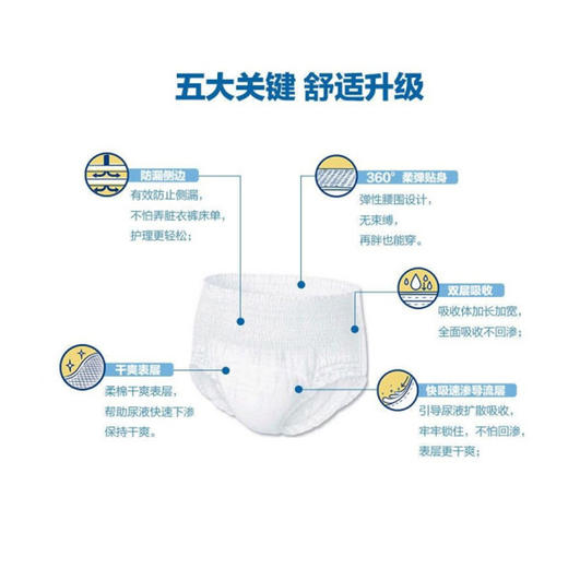 爱舒乐成人失禁裤内裤型10片  L 商品图1