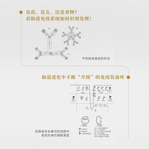 肠道考古：揭开肠道疾病的秘密 商品图3