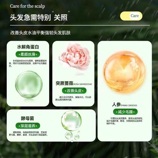 【VIP】芭思蔻草谷菁华香氛去屑洗发水500ml / 润肤沐浴露500ml / 柔滑护发发膜500ml 护发素 商品图1