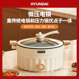 HYUNDAI陶瓷汤锅不粘锅家用电磁炉燃气灶双耳炖锅煲汤煮锅微压锅