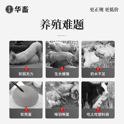 华畜钙磷铁镁锰硒宝10kg 促进骨骼生长改善蛋质 一桶补齐孕畜可用 商品图2