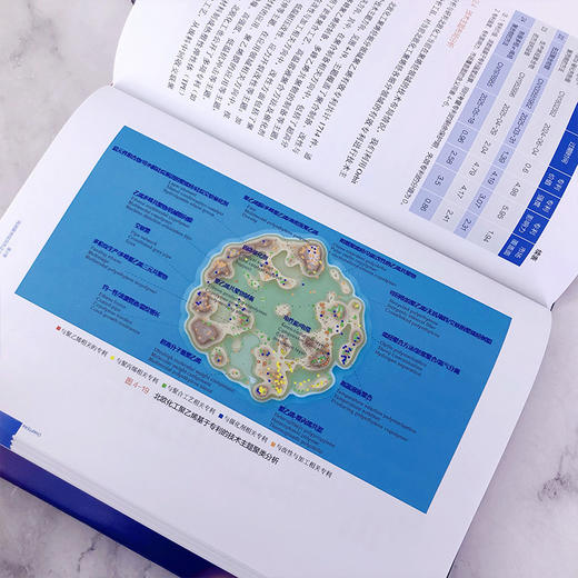 高端聚烯烃行业研发技术发展态势报告 商品图6