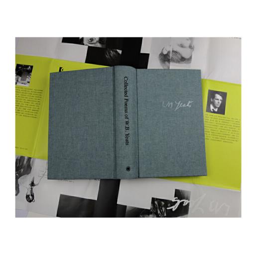 《叶芝诗集》[爱尔兰]威廉·巴特勒·叶芝 著，傅浩 译 商品图3