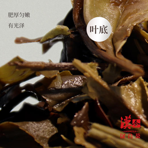 汉合茶 千里江山老白茶饼2019年 特级 春寿眉 357 商品图5