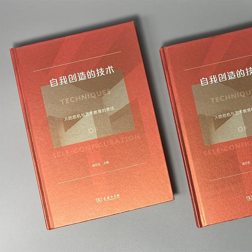 自我创造的技术：人的危机与艺术教育的责任 高世名 主编 商务印书馆 商品图1