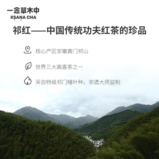 醉红嘉树·祁红金针 | 私房清饮系列 | 50g原叶 | 红茶类 商品图1