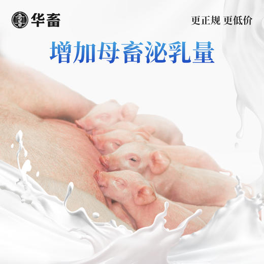 华畜钙磷铁镁锰硒宝10kg 促进骨骼生长改善蛋质 一桶补齐孕畜可用 商品图4