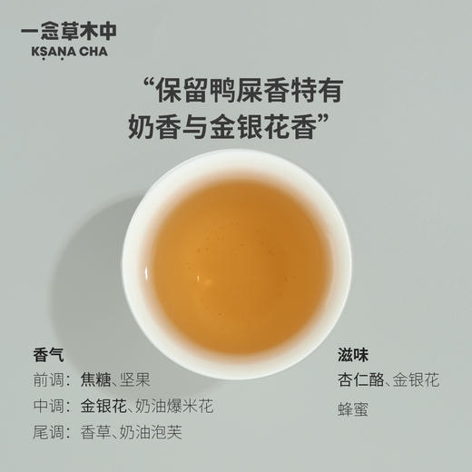 醉花阴·高山鸭屎香 | 私房清饮系列 | 乌龙茶类 商品图1