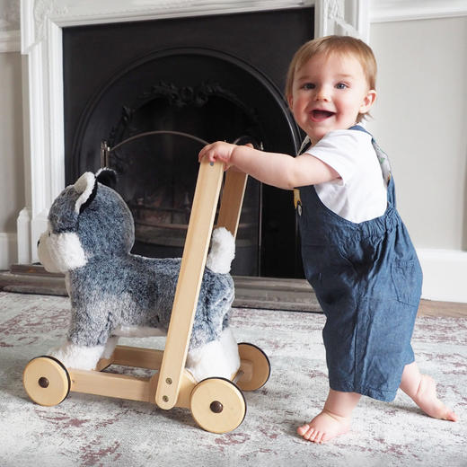 【QHXJ】英国Little Bird Told Me小狗助步车 学步车-【玩具】 商品图8