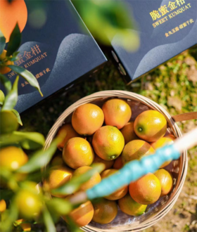 桔乡里 脆蜜金柑 3A（毛重约3.5斤）|水果