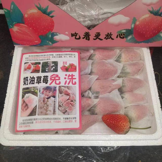 免洗草莓650克20枚果左右粉色箱子 商品图1