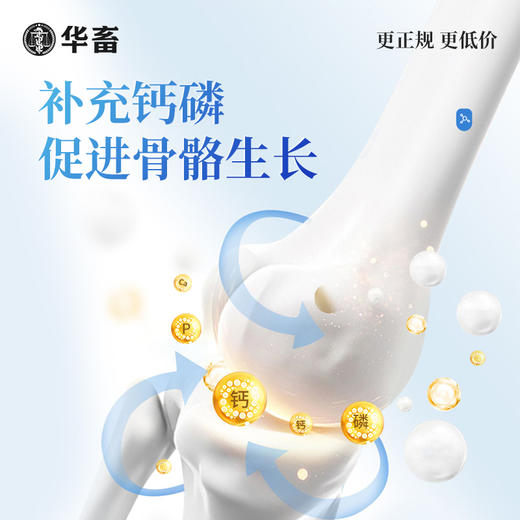 华畜钙磷铁镁锰硒宝10kg 促进骨骼生长改善蛋质 一桶补齐孕畜可用 商品图1