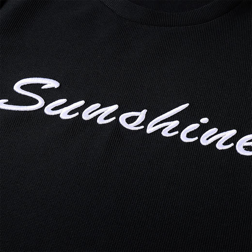 奢姿2025年夏装新款大码女装时尚圆领T恤胖妹妹刺绣字母上衣9932152654 商品图4