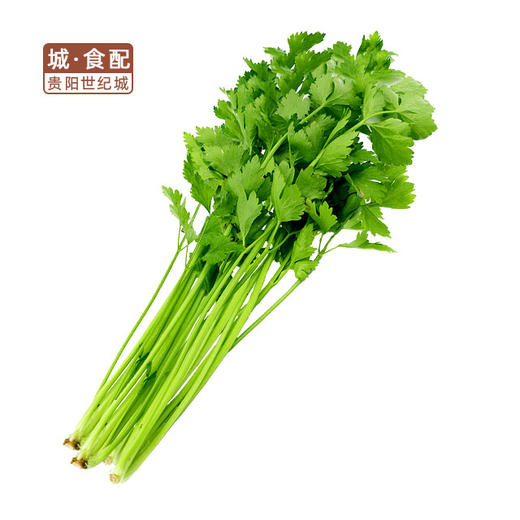 芹菜500g/份【GYZH】 商品图0