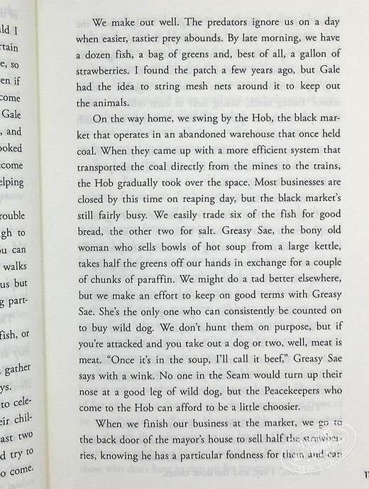 饥饿游戏 美版 英文原版小说三部曲 全套1-3册 The Hunger Games Trilogy 电影原著正版小说书籍 燃烧的女孩 嘲笑鸟 科幻小说 商品图6