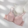 安莉芳专柜新品厚杯小胸聚拢文胸女士性感上托蕾丝内衣EB00585 商品缩略图2
