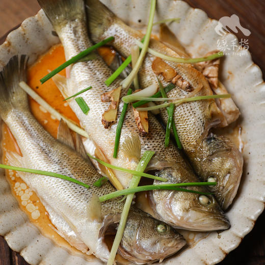 生态河鲈鱼 | 合作生产 * Eco-weever | Coproduction 商品图3