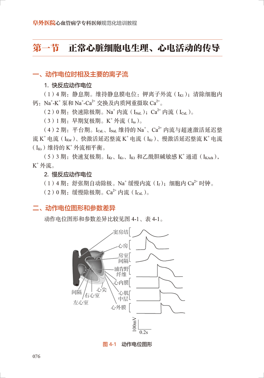 33116(yz) (1).jpg