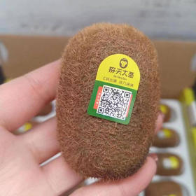 猕天大圣猕猴桃16枚