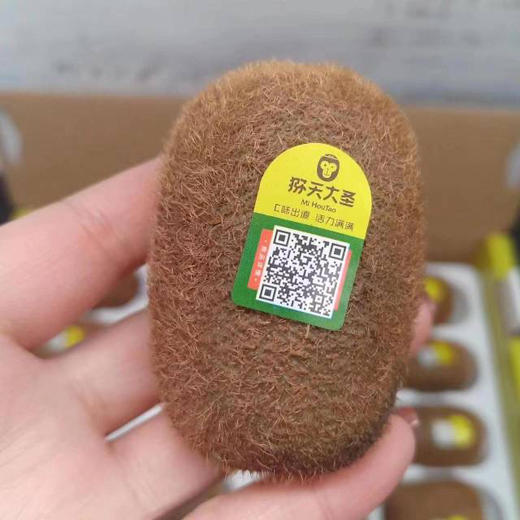 猕天大圣猕猴桃16枚 商品图0