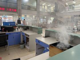  现代医学证明艾草杀菌消毒效果好，还能预防呼吸疾病！ 