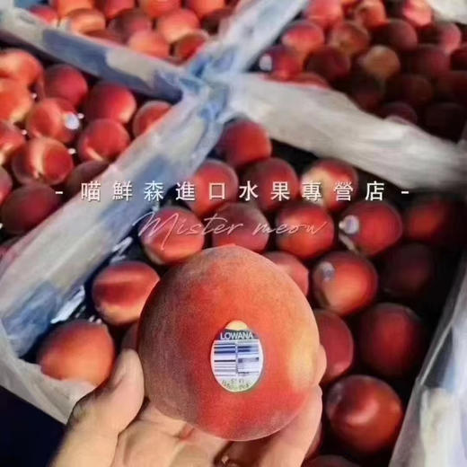 澳洲公主水蜜桃🍑（香软多汁）（快递12枚起） 商品图6