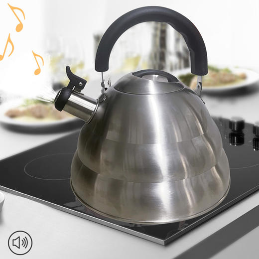 【限量秒杀】亚曼达armada 欧式水壶-4L 18/10不锈钢鸣笛壶 商品图4