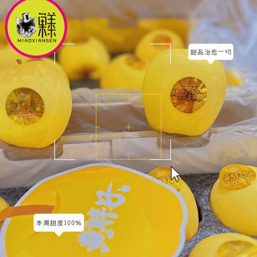 黄金维纳斯～金斑黄胖子（礼盒8-10枚）入 商品图1