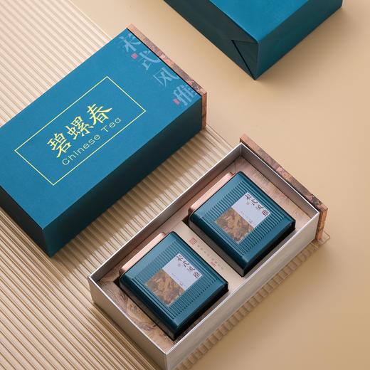 特尊茶风雅礼盒 2026新茶毛尖春茶 碧螺春精致茶叶礼盒200g送礼 商品图5