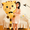 可爱大脸猫公仔毛绒玩具创意猫咪女友生日礼物情人节玩偶礼物玩偶 商品缩略图1