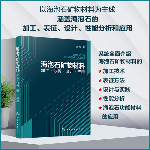 海泡石矿物材料：加工·分析·设计·应用 商品图0