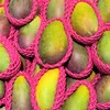 树上熟.贵妃香芒 约1kg/份 商品缩略图0