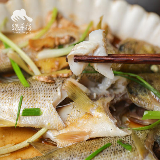 生态河鲈鱼 | 合作生产 * Eco-weever | Coproduction 商品图5