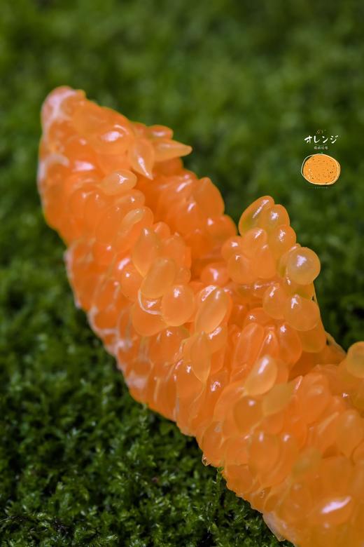 上新特价！原生态板果粒橙！【春见耙耙柑】自然成熟糖度15+起，一口下去满嘴biu汁，超爽超过瘾！ 商品图2