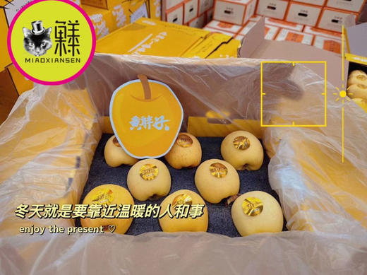 黄金维纳斯～金斑黄胖子（礼盒8-10枚）入 商品图2