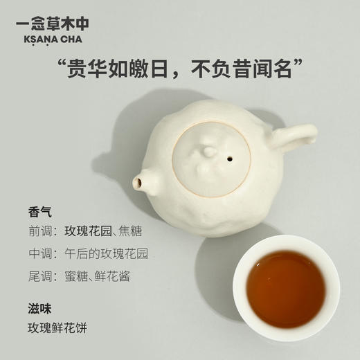 醉红嘉树·祁红金针 | 私房清饮系列 | 50g原叶 | 红茶类 商品图3